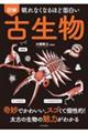 眠れなくなるほど面白い図解古生物