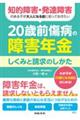 知的障害・発達障害のある子が大人になる前に知っておきたい 20歳前傷病の障害年金 しくみと請求のしか