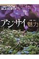 AWTC̖