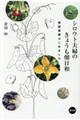 VEgvŵ傤a