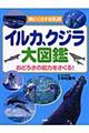 イルカ、クジラ大図鑑