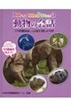 動物の会話(図書館用)