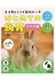生き物とくらす最初の一歩 はじめての飼育 ウサギ編