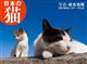 岩合光昭：日本の猫カレンダー　２０１７