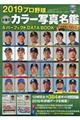 プロ野球全選手カラー写真名鑑&パーフェクトDATA BOOK 2019