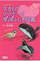 生きものプロポーズ摩訶ふしぎ図鑑