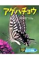 ���̂��炵�ʐ^�ف@�P�O