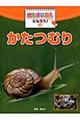 かんさつ名人になろう！　５