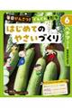 毎日かんさつ!ぐんぐんそだつ はじめてのやさいづくり 6