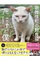 歌舞伎町の野良猫「たにゃ」と僕