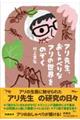 A搶AׂȃA̐Ê