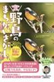 １日２分で脳が若返る！野鳥のまちがいさがし