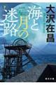 海と月の迷路(下)【毎日文庫】