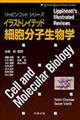 イラストレイテッド細胞分子生物学