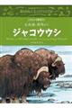 ジャコウウシ