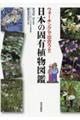 ウォーキングで出合う！！日本の固有植物図鑑