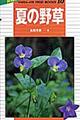 夏の野草