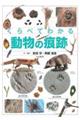くらべてわかる動物の痕跡