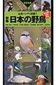 日本の野鳥　新版