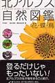 北アルプス自然図鑑