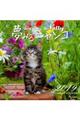 ���݂�j�����R�J�����_�[�@�Q�O�P�X