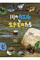 ��̃J�G���Ɛ������̂���