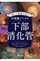 摜ŌAgX@