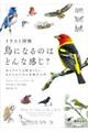 イラスト図解鳥になるのはどんな感じ？