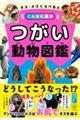 オス・メスくらべるとこんなに違うつがいどうぶつ図鑑