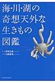 海・川・湖の奇想天外な生きもの図鑑