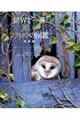 世界で一番美しいフクロウの図鑑 新装版