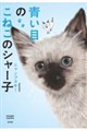 青い目のこねこのシャー子