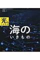 海のいきもの