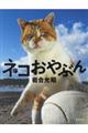 ネコおやぶん