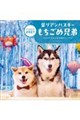 カレンダー柴リアンハスキーもちごめ兄弟 2027