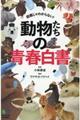 動物たちの青春白書