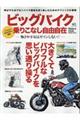 �r�b�O�o�C�N��肱�Ȃ����R����