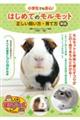 小学生でも安心！はじめてのモルモット正しい飼い方・育て方　新版