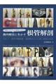 写真とエビデンスで歯種別に学ぶ!歯内療法に生かす根管解剖