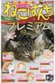 ねこぱんちプレミアム ほかほか号