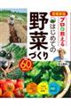 増補新版 プロが教える はじめての野菜づくり 60分動画付き