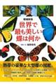 世界で最も美しい蝶は何か　増補新版