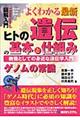 図解入門よくわかる最新ヒトの遺伝の基本と仕組み