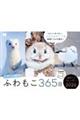 ふわもこ365日いやしの動物日めくりカレンダー 2026