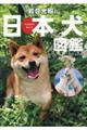 岩合光昭の日本犬図鑑