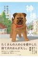 神様のおつかい犬純平