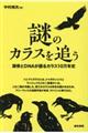 謎のカラスを追う