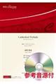 Cathedral Prelude