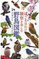 ぱっと見わけ観察を楽しむ野鳥図鑑