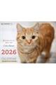 ねこのきもち大判カレンダー 2026